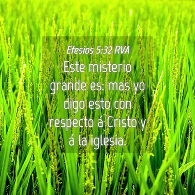 Picture 04 - Efesios 5:32 RVA - Este misterio grande es: mas yo digo esto con - Bible Verse Picture