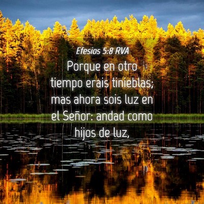 Picture 04 - Efesios 5:8 RVA - Porque en otro tiempo erais tinieblas; mas ahora - Bible Verse Picture