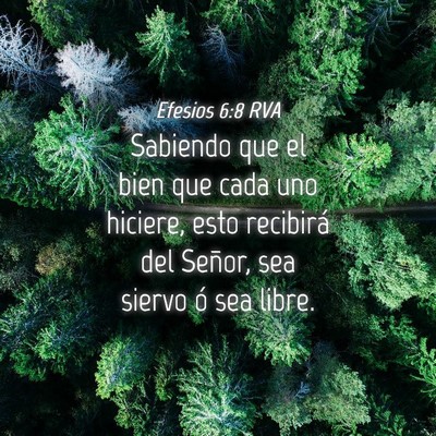 Picture 04 - Efesios 6:8 RVA - Sabiendo que el bien que cada uno hiciere, esto - Bible Verse Picture