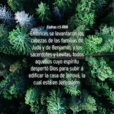 Picture 04 - Esdras 1:5 RVA - Entonces se levantaron los cabezas de las - Bible Verse Picture