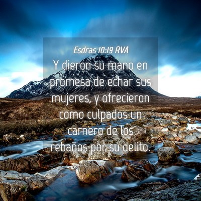 Picture 04 - Esdras 10:19 RVA - Y dieron su mano en promesa de echar sus mujeres, - Bible Verse Picture