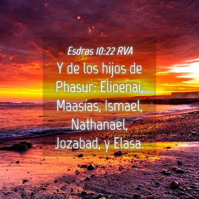 Picture 04 - Esdras 10:22 RVA - Y de los hijos de Phasur: Elioenai, Maasías, - Bible Verse Picture