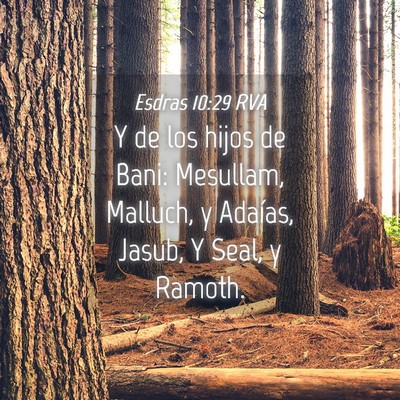Picture 04 - Esdras 10:29 RVA - Y de los hijos de Bani: Mesullam, Malluch, y - Bible Verse Picture