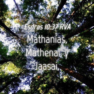 Picture 04 - Esdras 10:37 RVA - Mathanías, Mathenai, y - Bible Verse Picture