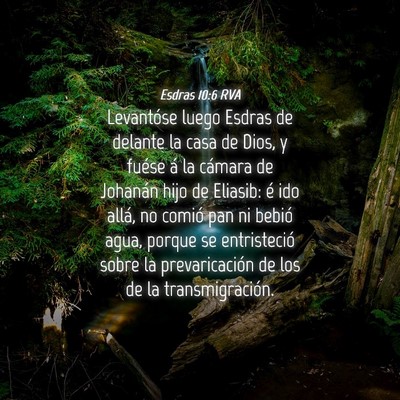 Picture 04 - Esdras 10:6 RVA - Levantóse luego Esdras de delante la casa de - Bible Verse Picture