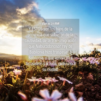 Picture 04 - Esdras 2:1 RVA - Y ESTOS son los hijos de la provincia que - Bible Verse Picture