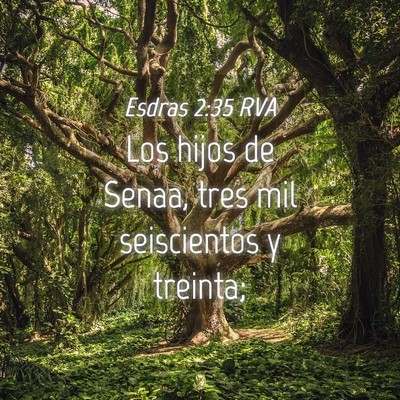 Picture 04 - Esdras 2:35 RVA - Los hijos de Senaa, tres mil seiscientos y - Bible Verse Picture