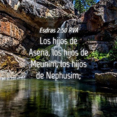 Picture 04 - Esdras 2:50 RVA - Los hijos de Asena, los hijos de Meunim, los - Bible Verse Picture