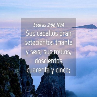 Picture 04 - Esdras 2:66 RVA - Sus caballos eran setecientos treinta y seis; sus - Bible Verse Picture