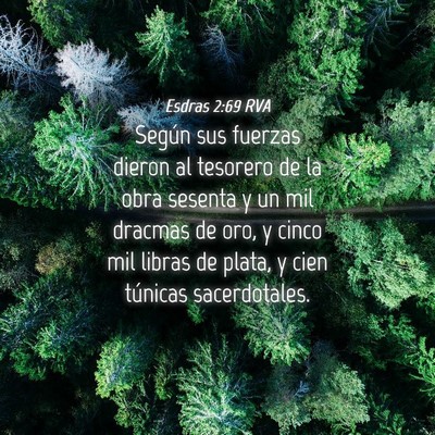 Picture 04 - Esdras 2:69 RVA - Según sus fuerzas dieron al tesorero de la obra - Bible Verse Picture