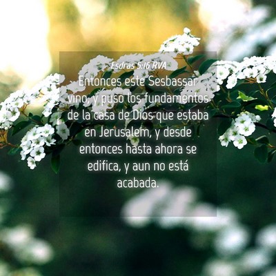 Picture 04 - Esdras 5:16 RVA - Entonces este Sesbassar vino, y puso los - Bible Verse Picture