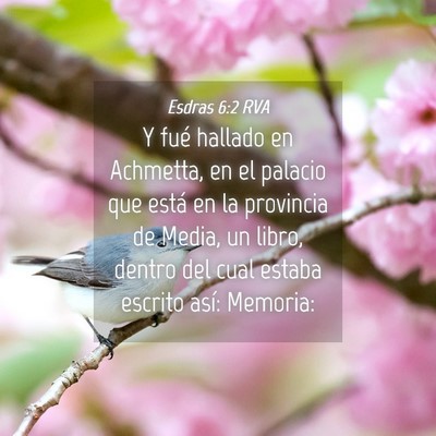 Picture 04 - Esdras 6:2 RVA - Y fué hallado en Achmetta, en el palacio que - Bible Verse Picture