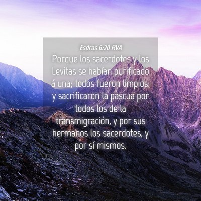 Picture 04 - Esdras 6:20 RVA - Porque los sacerdotes y los Levitas se habían - Bible Verse Picture