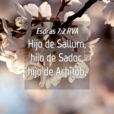 Picture 04 - Esdras 7:2 RVA - Hijo de Sallum, hijo de Sadoc, hijo de - Bible Verse Picture