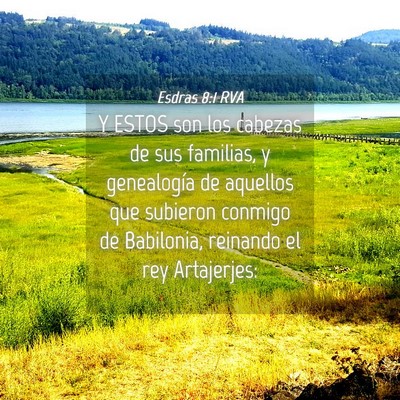 Picture 04 - Esdras 8:1 RVA - Y ESTOS son los cabezas de sus familias, y - Bible Verse Picture