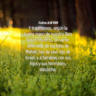 Picture 04 - Esdras 8:18 RVA - Y trajéronnos, según la buena mano de nuestro - Bible Verse Picture