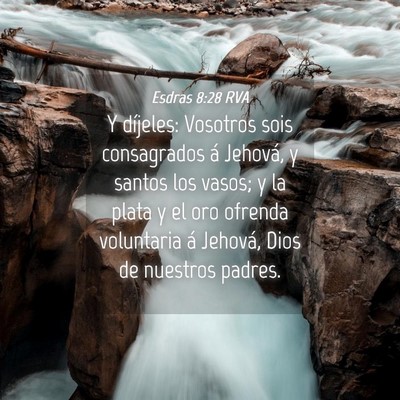 Picture 04 - Esdras 8:28 RVA - Y díjeles: Vosotros sois consagrados á Jehová, - Bible Verse Picture