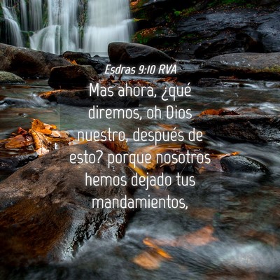 Picture 04 - Esdras 9:10 RVA - Mas ahora, ¿qué diremos, oh Dios nuestro, - Bible Verse Picture