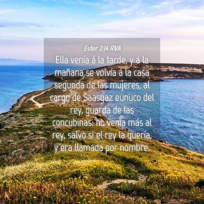 Picture 04 - Ester 2:14 RVA - Ella venía á la tarde, y á la mañana se - Bible Verse Picture