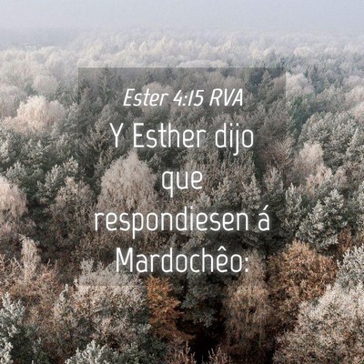 Picture 04 - Ester 4:15 RVA - Y Esther dijo que respondiesen á - Bible Verse Picture