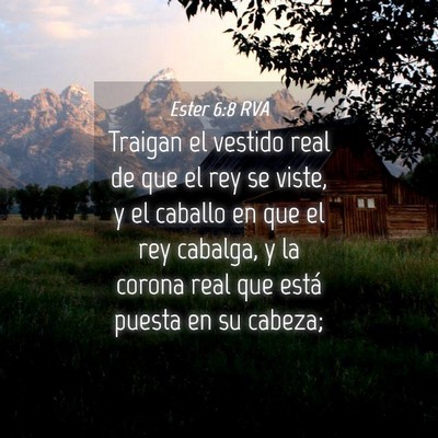 Picture 04 - Ester 6:8 RVA - Traigan el vestido real de que el rey se viste, y - Bible Verse Picture