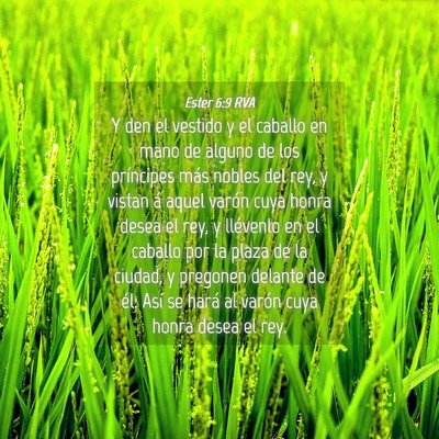 Picture 04 - Ester 6:9 RVA - Y den el vestido y el caballo en mano de alguno - Bible Verse Picture