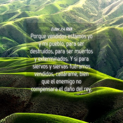 Picture 04 - Ester 7:4 RVA - Porque vendidos estamos yo y mi pueblo, para ser - Bible Verse Picture
