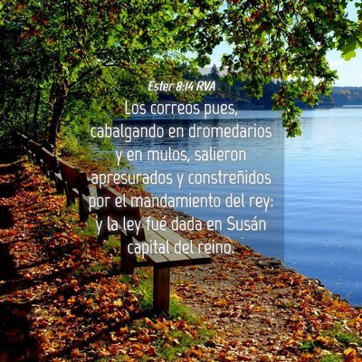 Picture 04 - Ester 8:14 RVA - Los correos pues, cabalgando en dromedarios y en - Bible Verse Picture