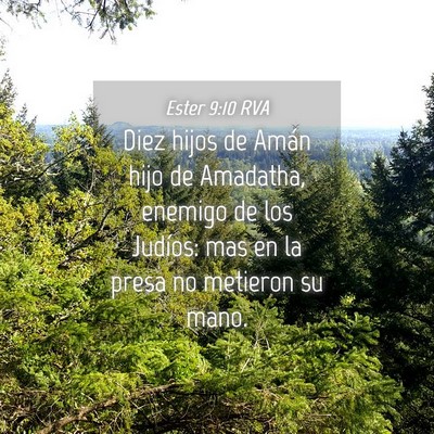 Picture 04 - Ester 9:10 RVA - Diez hijos de Amán hijo de Amadatha, enemigo de - Bible Verse Picture