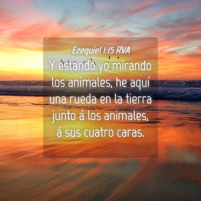 Picture 04 - Ezequiel 1:15 RVA - Y estando yo mirando los animales, he aquí una - Bible Verse Picture