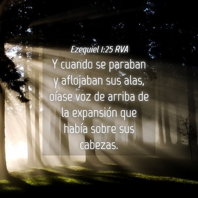 Picture 04 - Ezequiel 1:25 RVA - Y cuando se paraban y aflojaban sus alas, oíase - Bible Verse Picture