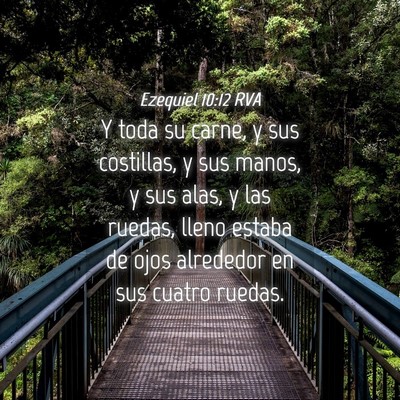 Picture 04 - Ezequiel 10:12 RVA - Y toda su carne, y sus costillas, y sus manos, y - Bible Verse Picture