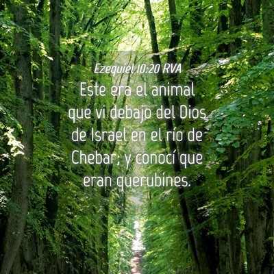 Picture 04 - Ezequiel 10:20 RVA - Este era el animal que vi debajo del Dios de - Bible Verse Picture
