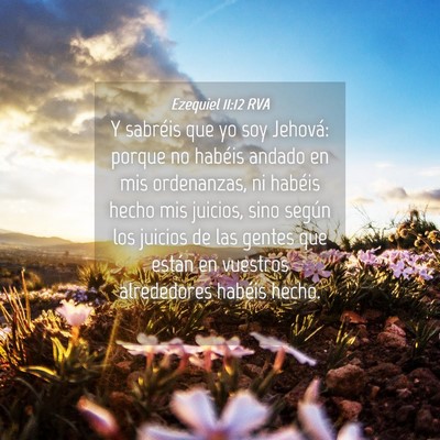 Picture 04 - Ezequiel 11:12 RVA - Y sabréis que yo soy Jehová: porque no habéis - Bible Verse Picture