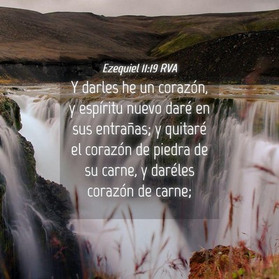 Picture 04 - Ezequiel 11:19 RVA - Y darles he un corazón, y espíritu nuevo daré - Bible Verse Picture