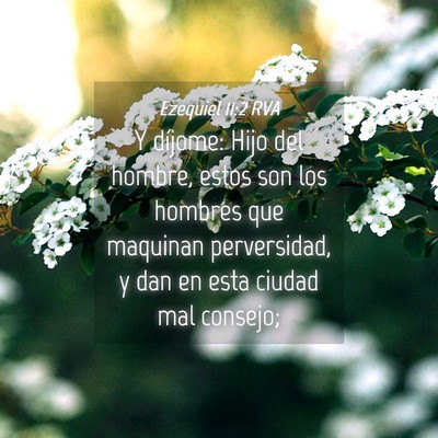 Picture 04 - Ezequiel 11:2 RVA - Y díjome: Hijo del hombre, estos son los hombres - Bible Verse Picture