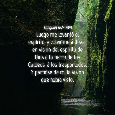 Picture 04 - Ezequiel 11:24 RVA - Luego me levantó el espíritu, y volvióme á - Bible Verse Picture