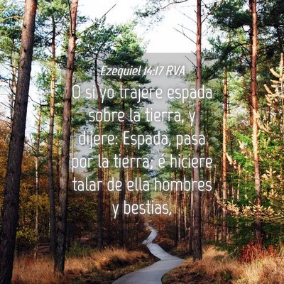 Picture 04 - Ezequiel 14:17 RVA - O si yo trajere espada sobre la tierra, y dijere: - Bible Verse Picture