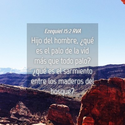 Picture 04 - Ezequiel 15:2 RVA - Hijo del hombre, ¿qué es el palo de la vid más - Bible Verse Picture