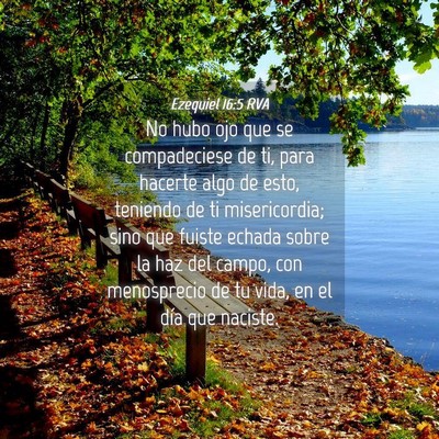 Picture 04 - Ezequiel 16:5 RVA - No hubo ojo que se compadeciese de ti, para - Bible Verse Picture