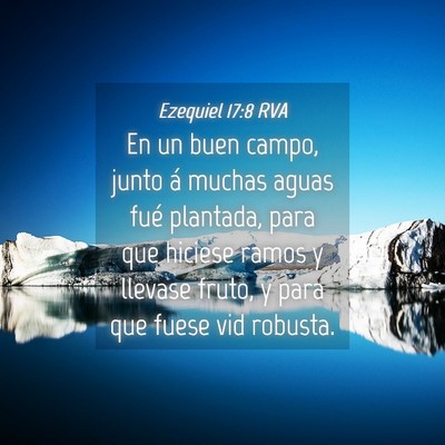 Picture 04 - Ezequiel 17:8 RVA - En un buen campo, junto á muchas aguas fué - Bible Verse Picture