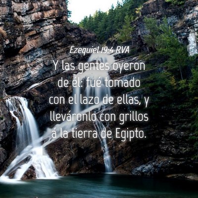 Picture 04 - Ezequiel 19:4 RVA - Y las gentes oyeron de él: fué tomado con el - Bible Verse Picture