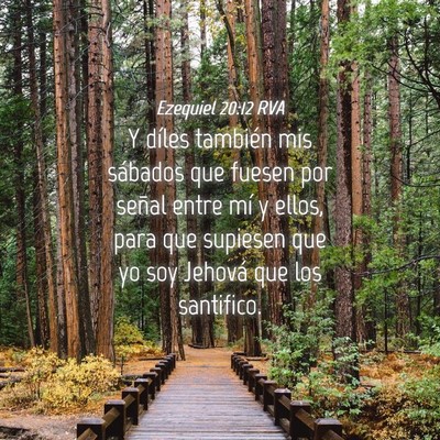 Picture 04 - Ezequiel 20:12 RVA - Y díles también mis sábados que fuesen por - Bible Verse Picture