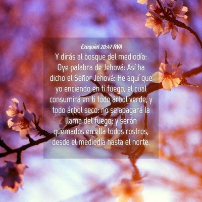 Picture 04 - Ezequiel 20:47 RVA - Y dirás al bosque del mediodía: Oye palabra de - Bible Verse Picture