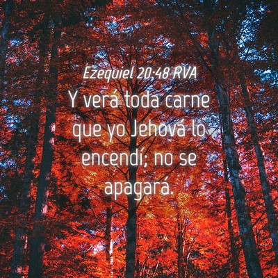 Picture 04 - Ezequiel 20:48 RVA - Y verá toda carne que yo Jehová lo encendí; no - Bible Verse Picture