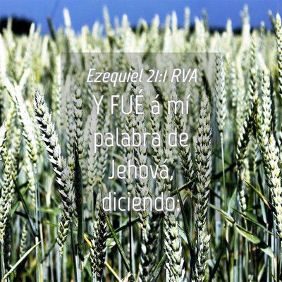Picture 04 - Ezequiel 21:1 RVA - Y FUÉ á mí palabra de Jehová, - Bible Verse Picture