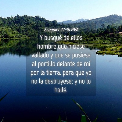 Picture 04 - Ezequiel 22:30 RVA - Y busqué de ellos hombre que hiciese vallado y - Bible Verse Picture