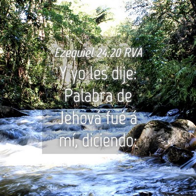 Picture 04 - Ezequiel 24:20 RVA - Y yo les dije: Palabra de Jehová fué á mí, - Bible Verse Picture