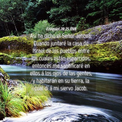 Picture 04 - Ezequiel 28:25 RVA - Así ha dicho el Señor Jehová: Cuando juntaré - Bible Verse Picture
