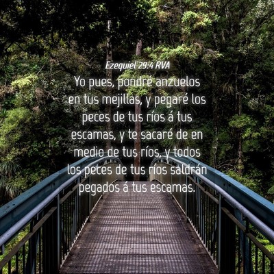 Picture 04 - Ezequiel 29:4 RVA - Yo pues, pondré anzuelos en tus mejillas, y - Bible Verse Picture